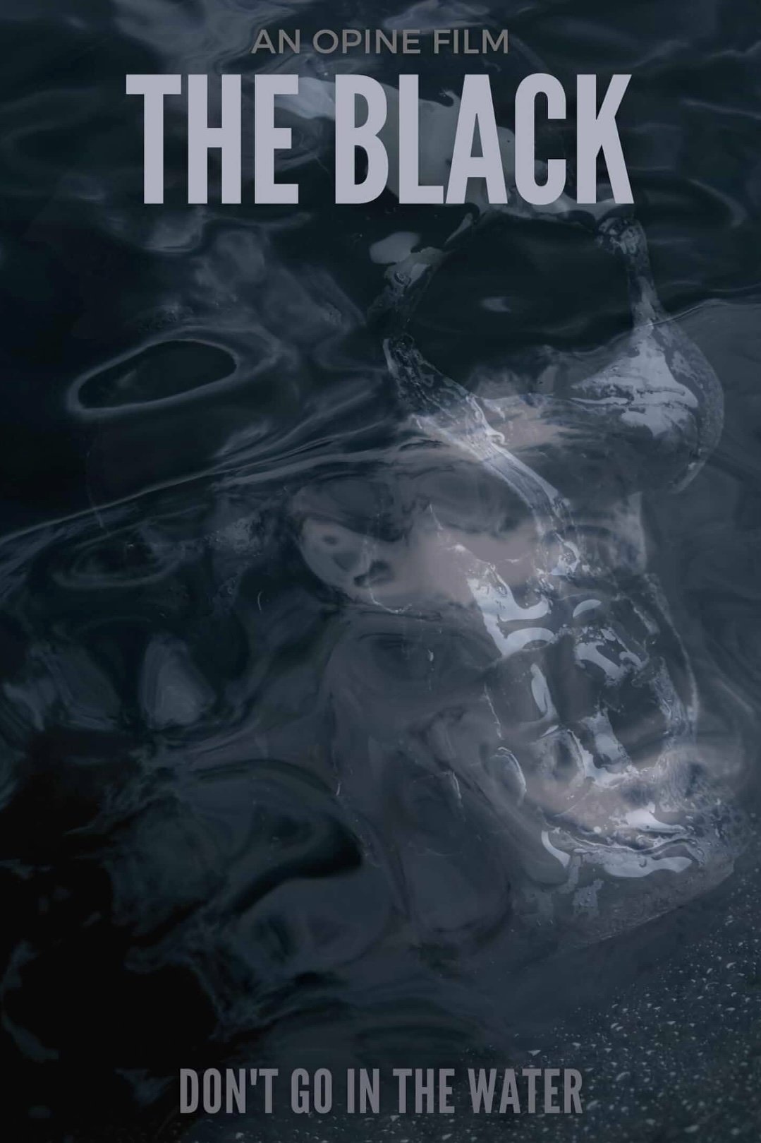 Постер The Black